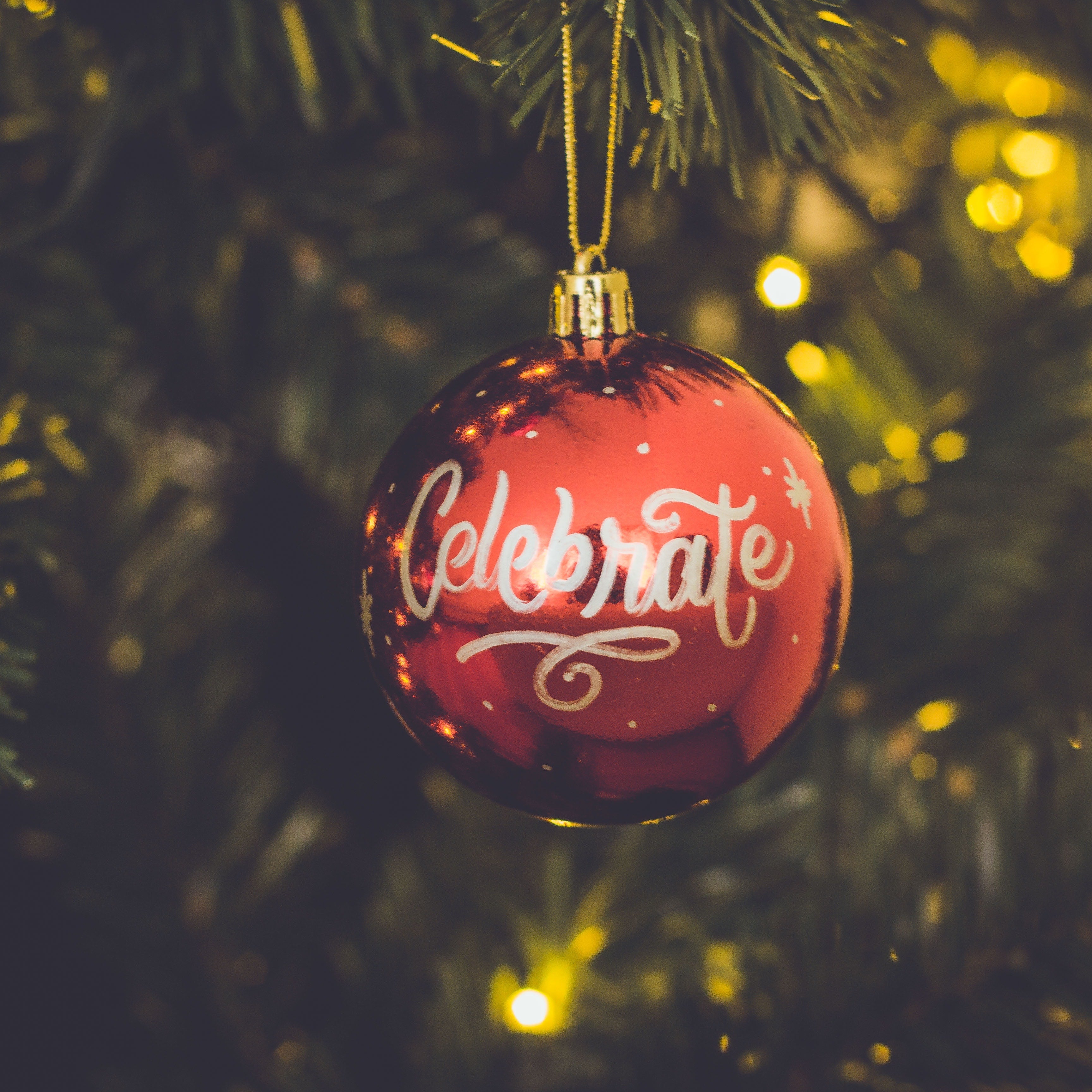 A 'celebrate' Christmas ornament hanging on a tree